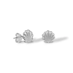 Blossom - Sey Shell sølv ørestik med musling - 21911665