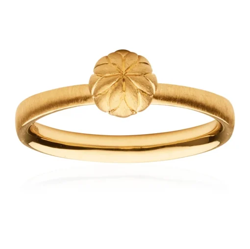 Blossom - Wille Infinity ring i forgyldt sølv - IR1GP