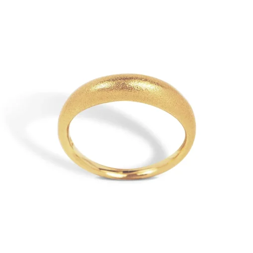 Blossom Copenhagen - Rings and Hoops forgyldt sølv ring - 23611801