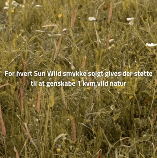 byBiehl - Sun wild charm i forgyldt - 7-5203-GP-b