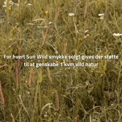 byBiehl - Sun wild vedhæng i sterling sølv, 15mm - 7-4802-r