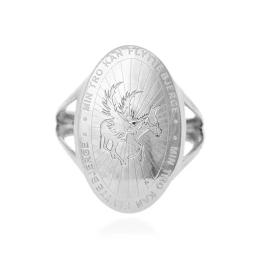 FLYV ring i sølv