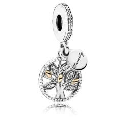 Pandora - Family Heritage charm - 791728cz