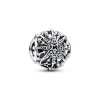 Pandora - Snefnug charm med stjerner - 792360c00