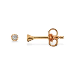 Scrouples - Forgyldte sølv øreringe 2mm - 112012fg