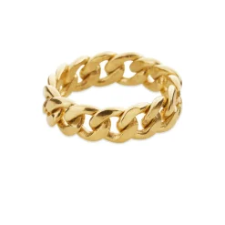 SFB - Sølv forgyldt panser ring - 1688-21