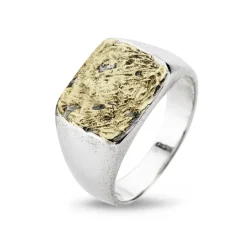 Sølv ring med guld fra byBirdie-50110190g